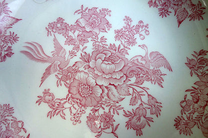 イギリス製　Burleigh バーレイ社　Pink Asiatic Pheasants ピンクアジアティックフェザンツ　パスタプレート 皿　深皿　大皿　プレート　洋食器　食器　おしゃれ