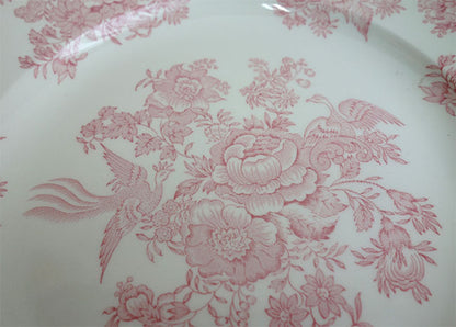 イギリス製　Burleigh バーレイ社　Pink Asiatic Pheasants ピンクアジアティックフェザンツ　プレート　22cm　 お皿　皿　洋食器　英国食器　テーブルウエア　花柄　ピンク　